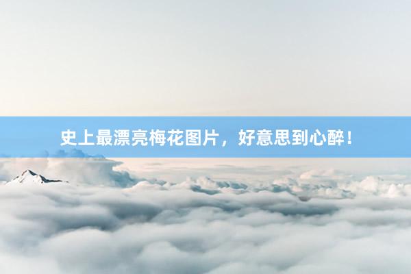 史上最漂亮梅花图片，好意思到心醉！