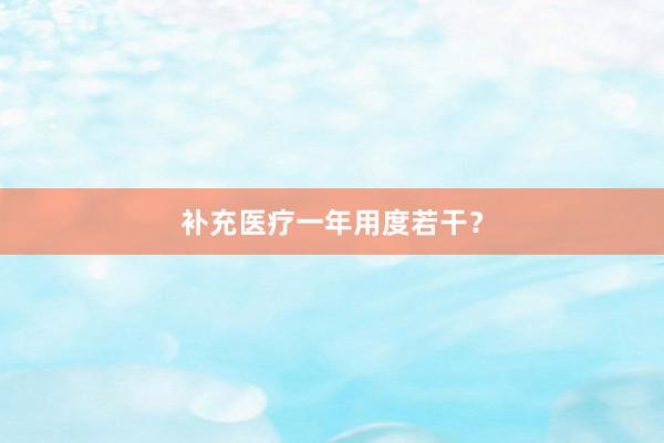 补充医疗一年用度若干？