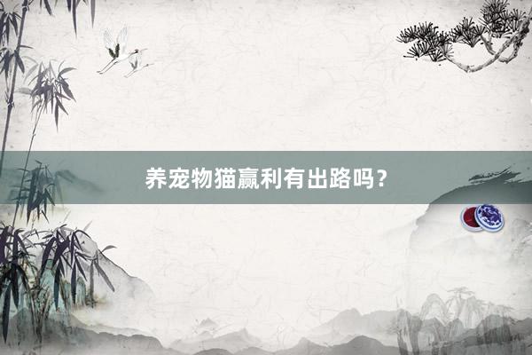 养宠物猫赢利有出路吗？